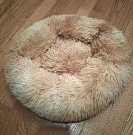 Photo of free Small pet bed (Cambridgeport, near Dana Park) #1