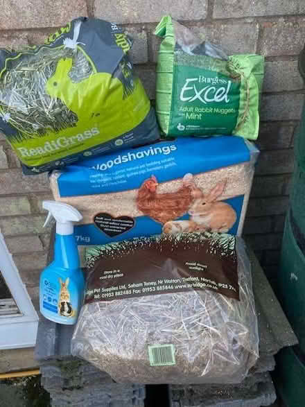 Photo of free Rabbit Care (Eye) #1