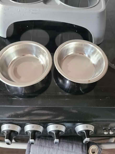 Photo of free Cat food and water bowls with stand (South Reading RG2) #3