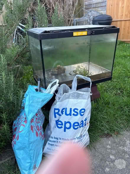 Photo of free Fish tank (PO22 Bognor) #1