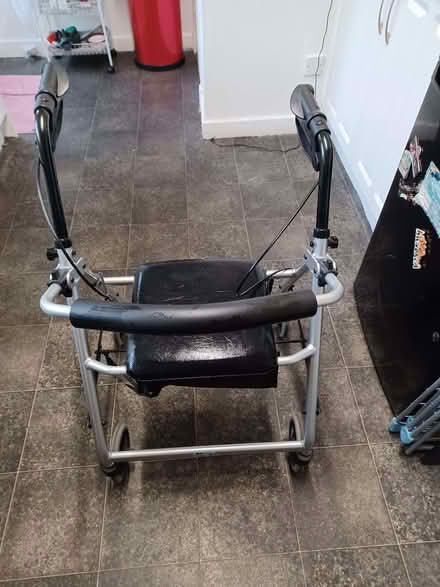 Photo of free Walker (Dunfermline KY11) #2