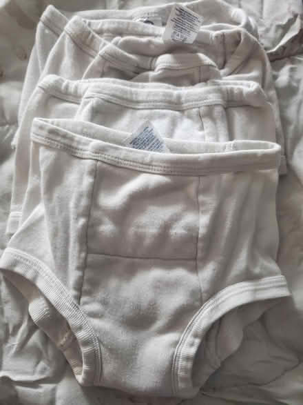 Photo of free Potty training underwear (East, close to NE) #2