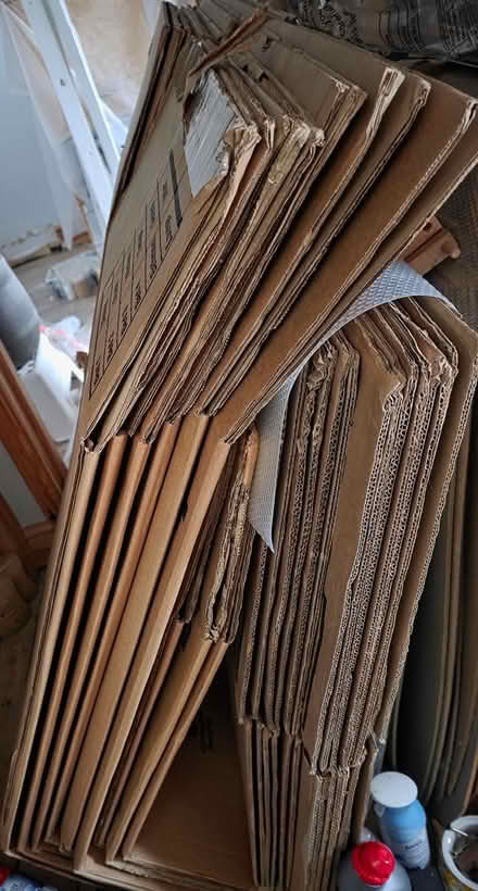 Photo of free Tall Moving Boxes (Enfield EN2) #2