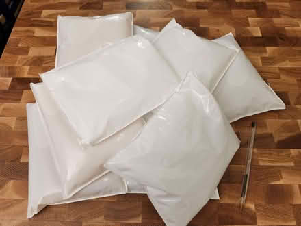 Photo of free 10 Food Safe Gel Ice Packs (Walsall WS1) #1