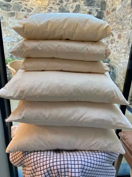Photo of free Feather Filled Cushions x 6 (West End EH3) #1