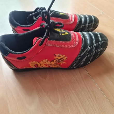 Photo of free Kick boxing shoes (Wildridings RG12) #1