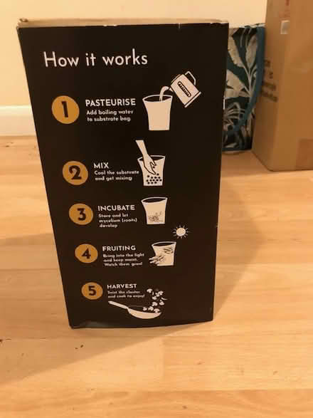 Photo of free Mushroom Grow Kit (CV22 - near centre of Rugby) #3