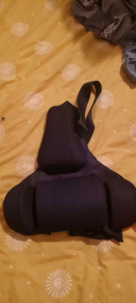 Photo of free Office Chair Lumber Support (Stroud Green N4) #1