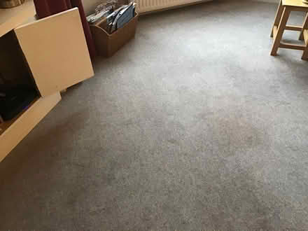 Photo of free Lounge carpet (Kendal LA9) #1