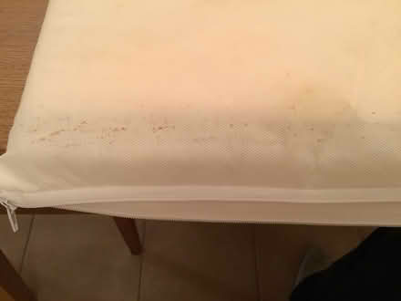 Photo of free Foam cot mattress (Thorney Leys OX28) #3