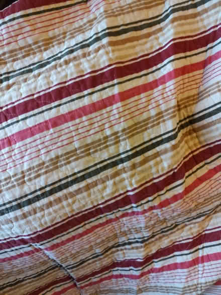 Photo of free Large reversible comforter (Gidea Park RM11) #2