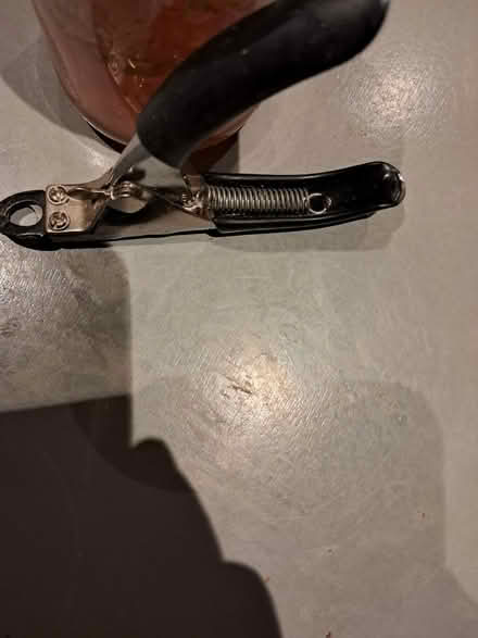 Photo of free Nail clippers (firhouse) #1