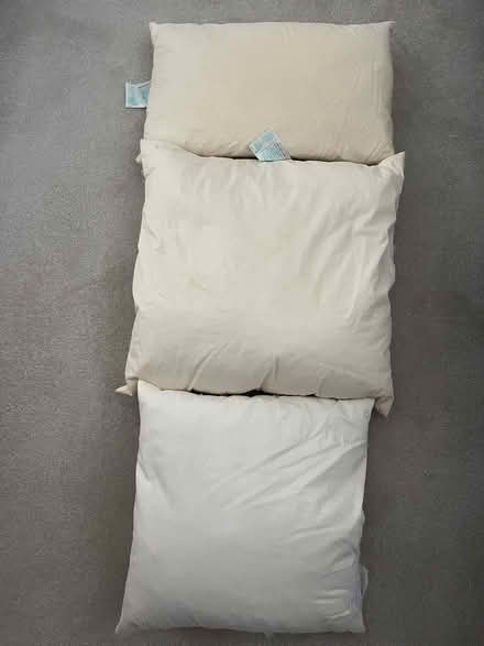 Photo of free 3 x Feather Cushion Inserts (Monkmoor SY2) #1