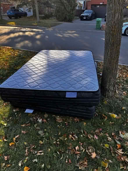 Photo of free double matteress (Streetsville) #1