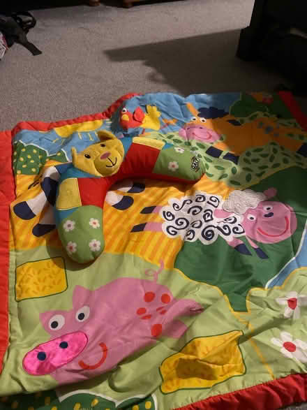 Photo of free Play mat and cushion (Potton) #1