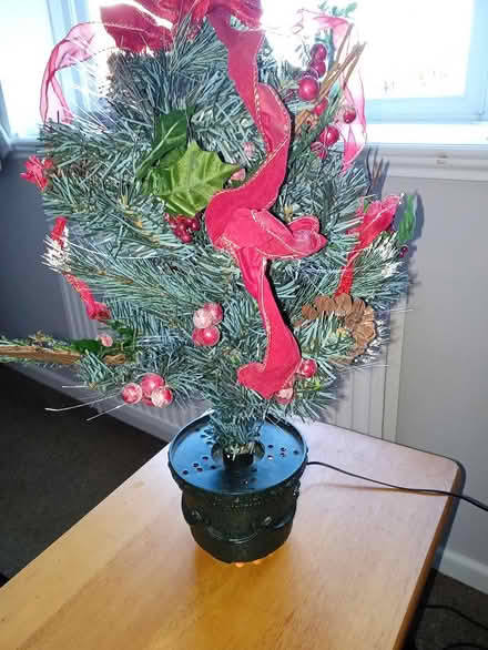 Photo of free Fibre optic Christmas Tree (St Peters WR5) #1