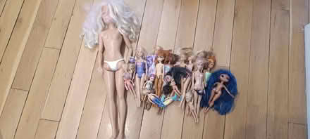 Photo of free Dolls (EN4 8HY) #1