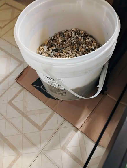 Photo of free 20 gal aquarium (NE Rochester, NY) #3