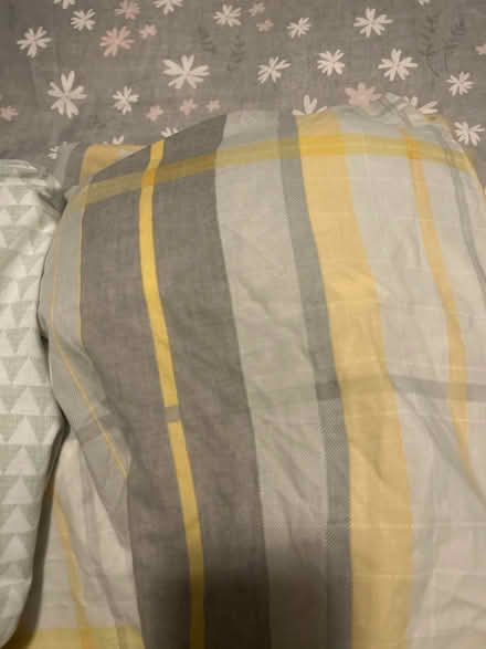 Photo of free Three king size quilt covers. One is a Christmas one (Bedford MK41) #1