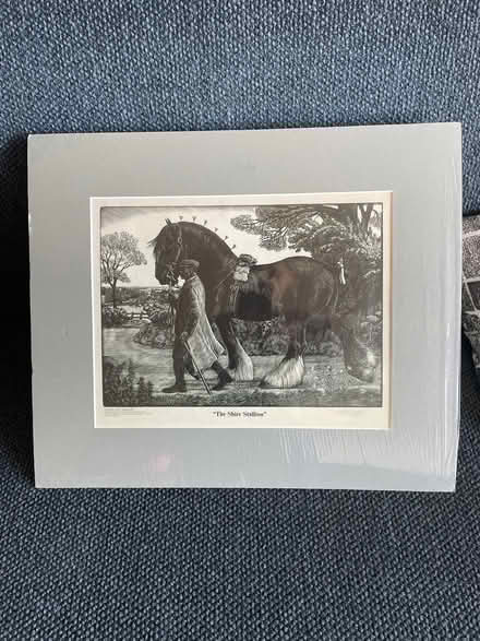 Photo of free Shire horse etching print brand new (Hackney E8) #1