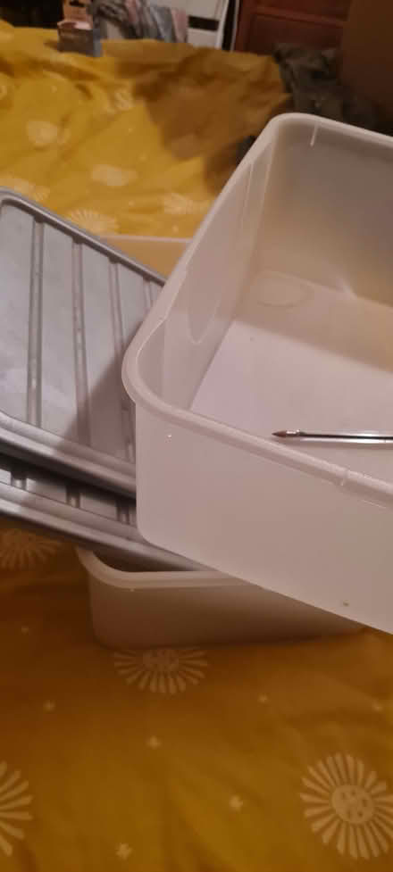 Photo of free Plastic containers, good condition but dusty X 2 (Stroud Green N4) #2