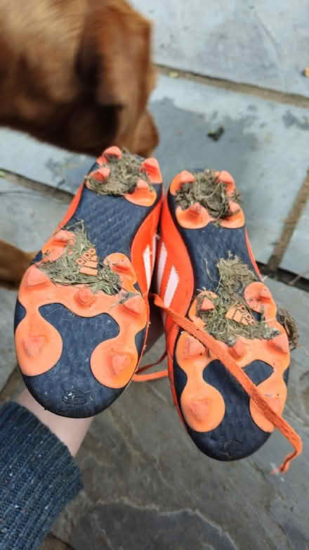 Photo of free Football rugby stud boots size 1 (Bay Horse) #2
