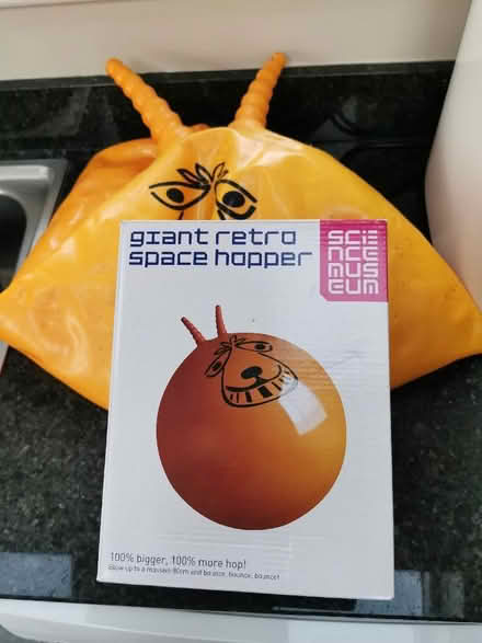 Photo of free Giant space hopper with pump. (Newnham RG27) #1