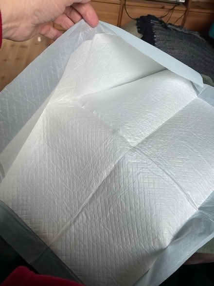 Photo of free 20 ‘Puppy’ pads (Hoxton) #2