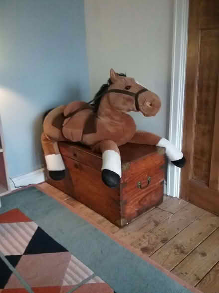 Photo of free Cuddly ride-on Pony (Wrenbury CW5) #1
