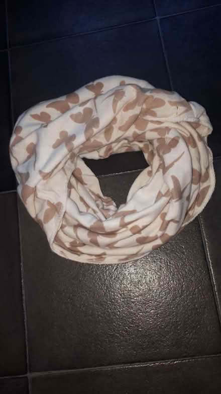 Photo of free Pretty Ladies Snood (Cressex HP12) #1