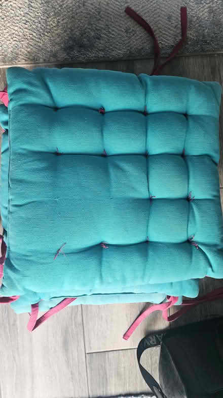 Photo of free Garden cushion (Manchester M40) #4