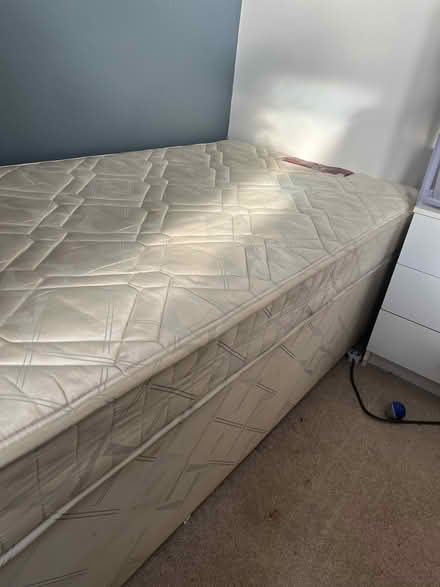Photo of free Single bed (Amlwch LL68) #1