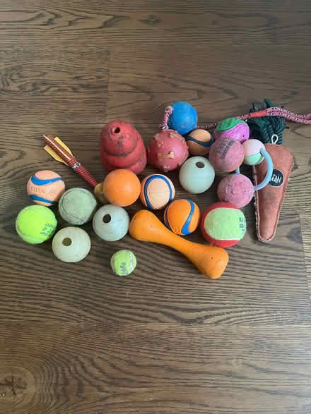 Photo of free Variety of Dog Balls/Toys (Teddington TW11) #1
