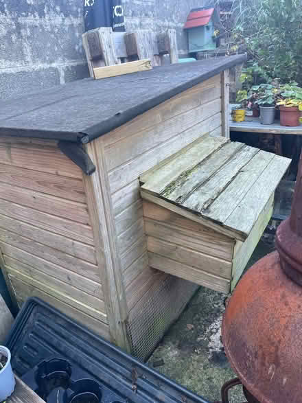Photo of free Chicken coop (Worle BS22) #2