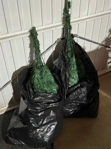 Photo of free Xmas tree (Hunstanton) #2
