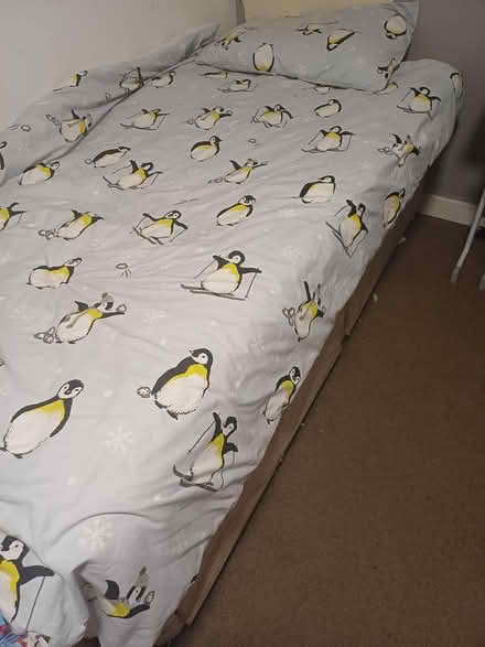Photo of free Single divan bed and mattress (Stockport sk1) #1