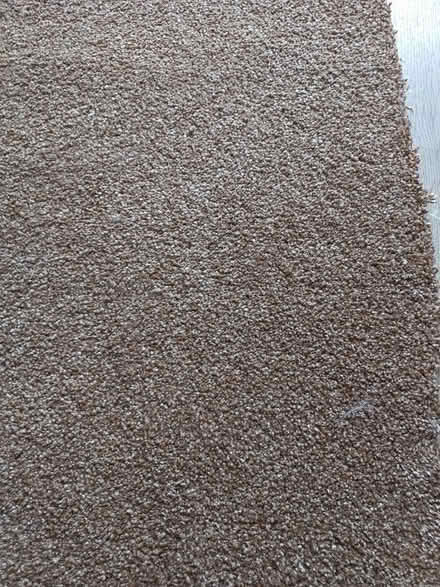 Photo of free Carpet (Tingley / West Ardsley) #1