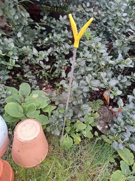 Photo of free Fishing rod rest (St George BS5) #1