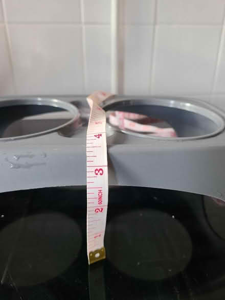 Photo of free Cat food and water bowls with stand (South Reading RG2) #4