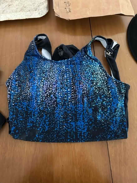 Photo of free Two one piece bathing suits L (Southfield) #2