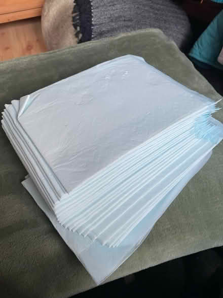 Photo of free 20 ‘Puppy’ pads (Hoxton) #1