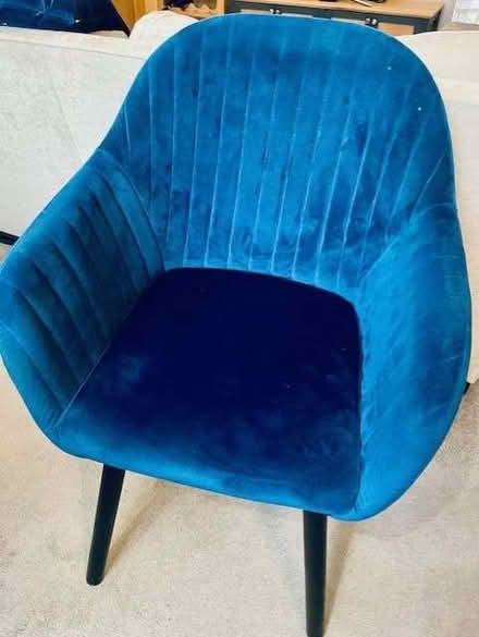 Photo of free Two velvet royal blue dining chairs (cushions not included) (Earls Court SW10) #2