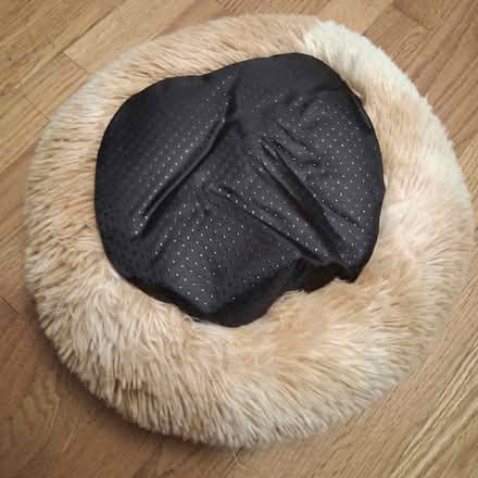 Photo of free Small pet bed (Cambridgeport, near Dana Park) #2