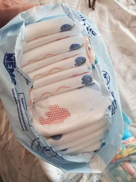 Photo of free Swim diapers (East, close to NE) #3