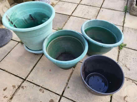 Photo of free Large plastic flower pots (Kingsway) #1