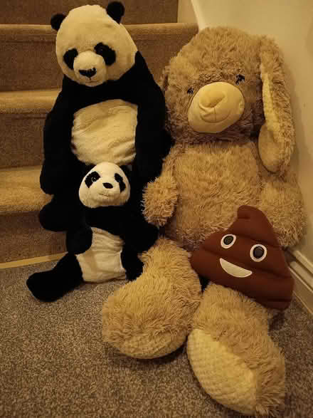 Photo of free Cuddly critters (Thornbury BD3) #1