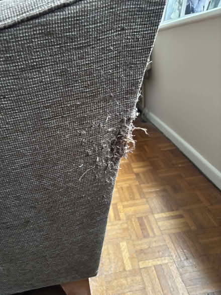 Photo of free Four and Two Seater Sofas (Upper Bourne GU10) #4