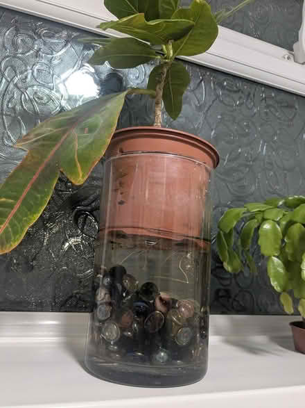 Photo of Glass Marbles (GL1) #2