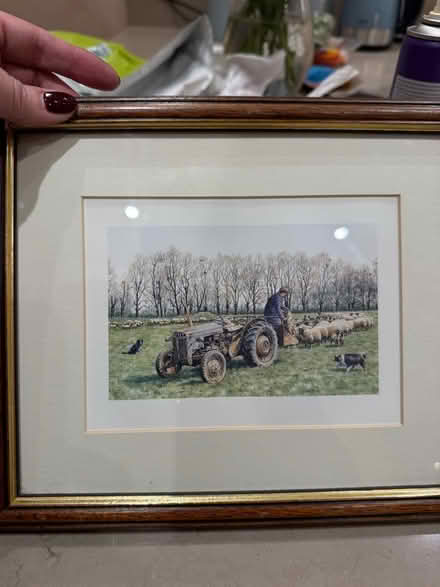 Photo of free Framed prints. (Camberley GU15) #2