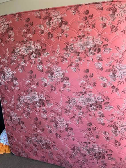 Photo of free Bed (Manly Whangaparāoa.) #3